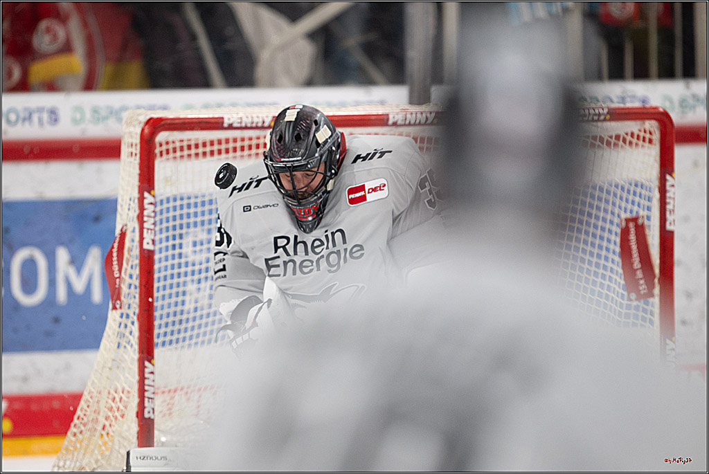PENNY DEL 1; Düsseldorfer EG - Kölner Haie; Düsseldorf, 24.01.2025